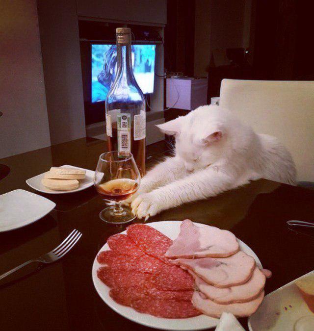 Алкопост на эту пятницу