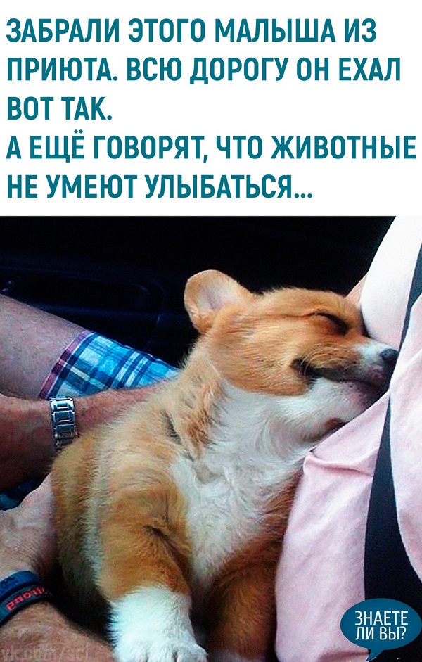 Подборка интересных и веселых картинок 19.04.19
