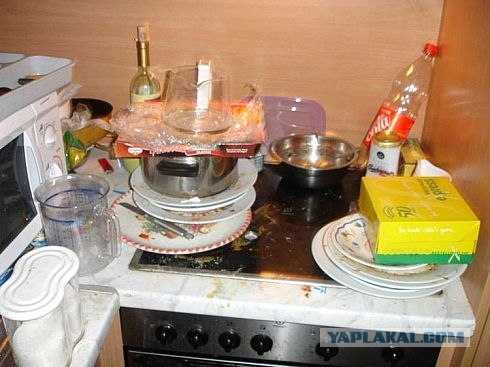 Берлога буржуйского студента