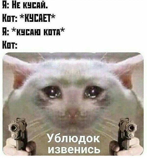 Нестандартный юмор