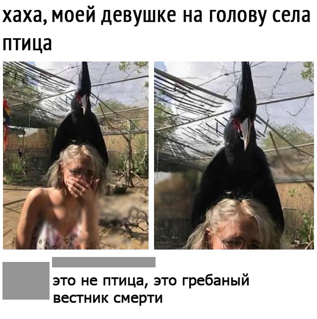 Немного картинок с надписями и без - 43