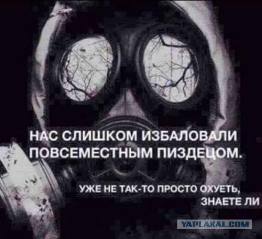 Пройти по знамёнам поверженного Рейха: Шойгу рассказал о задумках для "Дороги памяти"