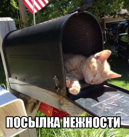 Так себе картинки #11
