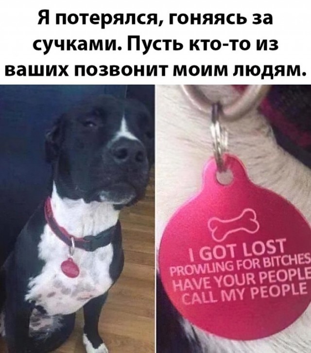 Немного картинок для настроения 30.04.20