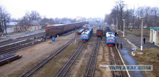 Узкоколейные железные дороги