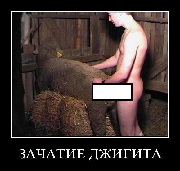 Очередные ЯЖЕМАТЬ с ЯЖЕБАТЬ на скейт парке