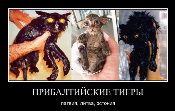 «Удобрительный удар»: Россия ввела последнюю меру против портов Прибалтики