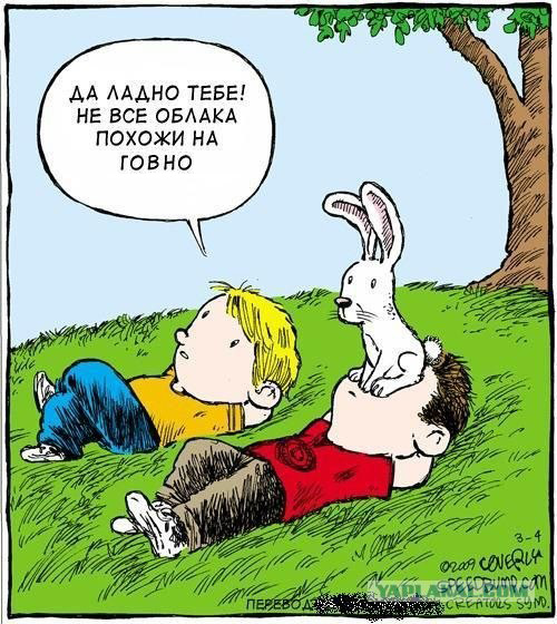 Смотрим на облака вместе
