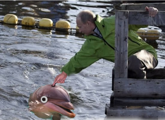 Путин и обитатели морских глубин