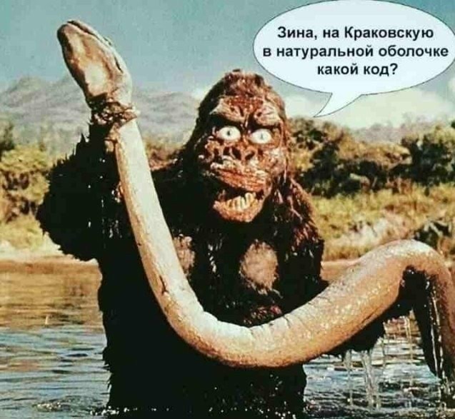 Один против 4 тигров