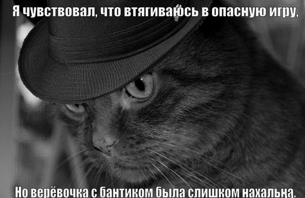 Картинки разные 08.10.2020