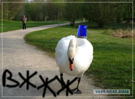 Фотожаба: Я от дедушки ушел, я от бабушки ушел