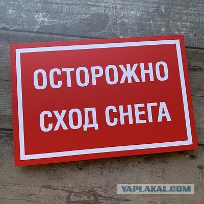 Поели шашлыка