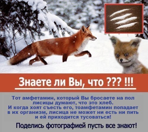Таксидермия + наркомания