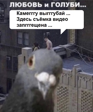 Лаф