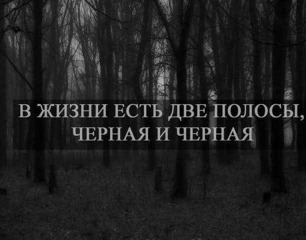 Февральская вечерняя чернь...