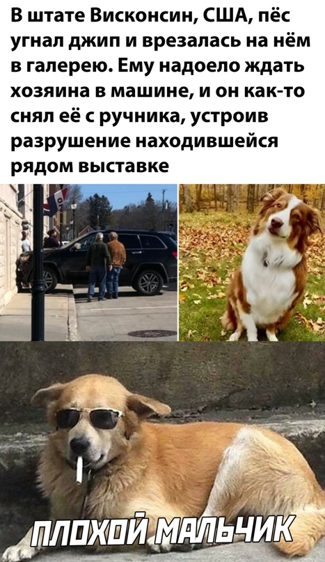 Весёлый полтишок 19.03