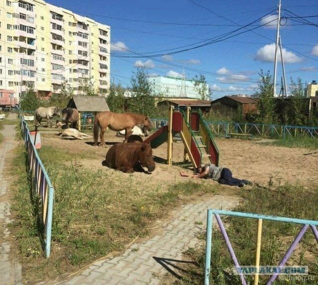 Прикольные фото к субботе
