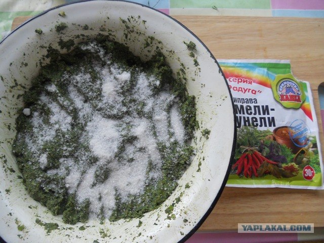Аджика зелёная