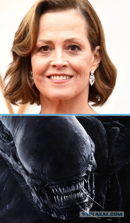 Сьюзан Александра Уивер, известная всему миру как Сигурни Уивер, отмечает сегодня свой день рождения