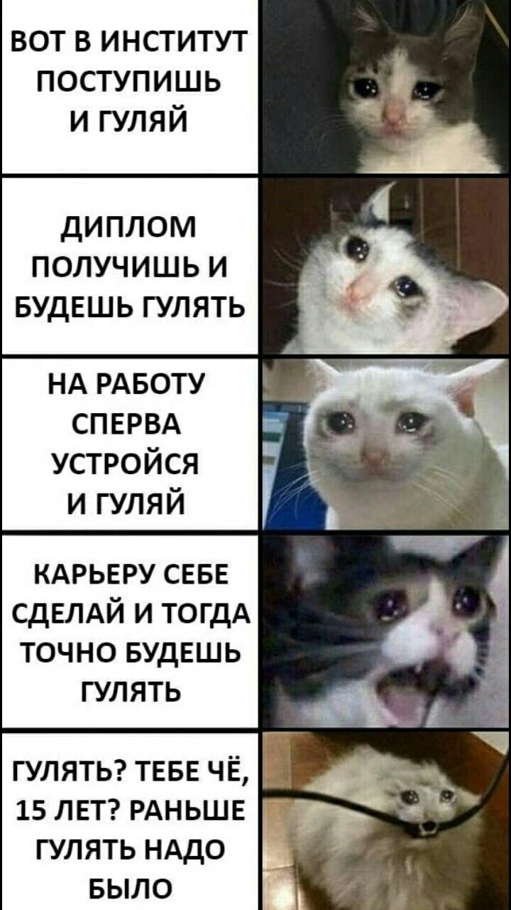 Вот в институт поступишь и Гуляй