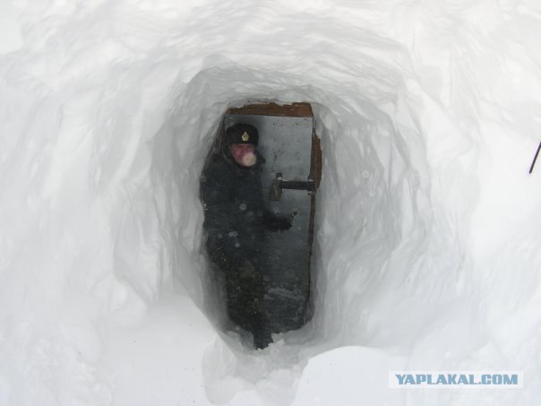 Жизнь на Новой земле.