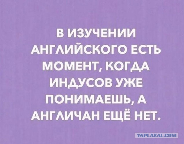 Всяческие картинки 08.12.2021