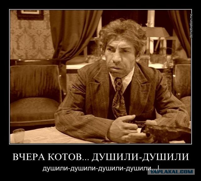 Топ громких расправ над живодёрами