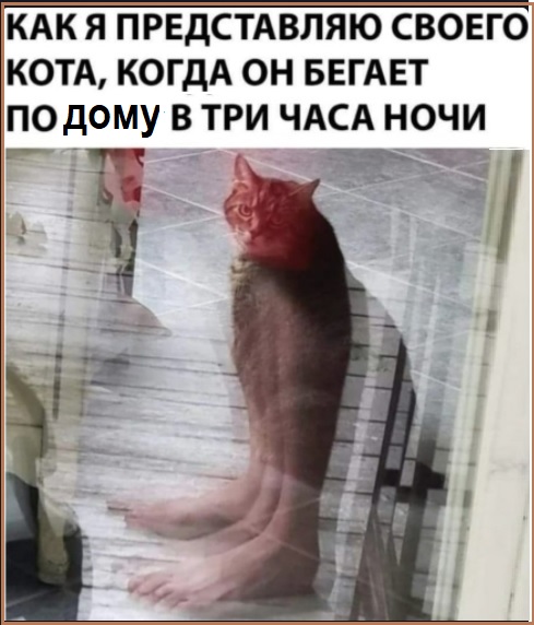 Картинки с надписями и всякие жизненные фразы