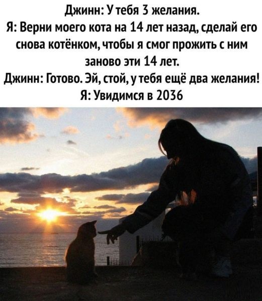 Доброе Утро 2.0 (22)