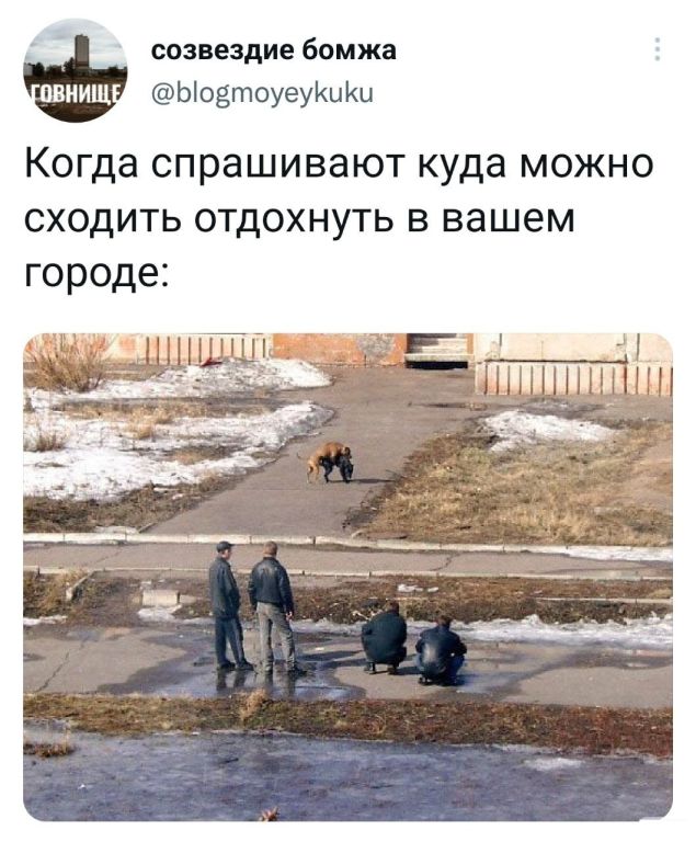 Так себе картинки 07.04.22