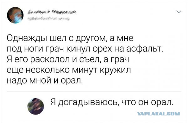 Забавные и веселые картинки
