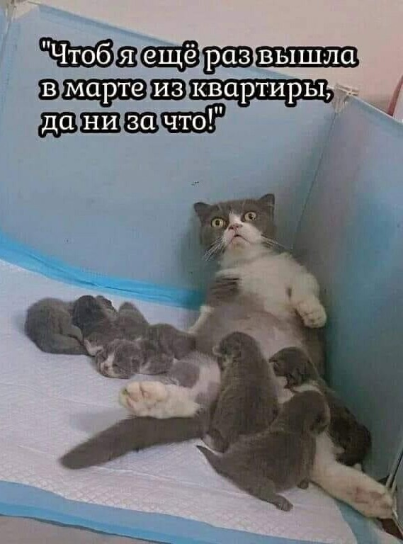 Всякой Хни вам в ленту, дорогие деграданты...