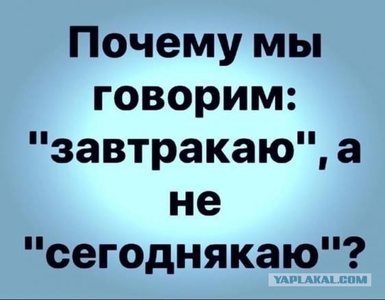 Картинки, приколы, мемы на выходные