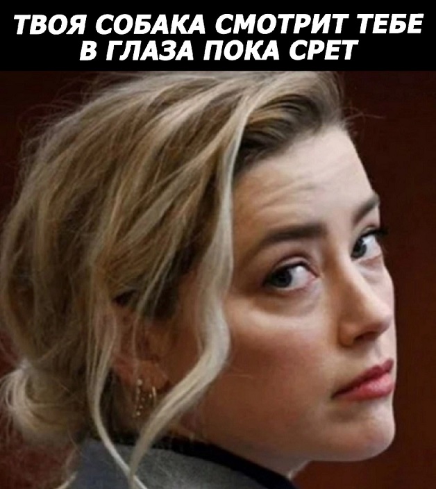 16802145.jpg