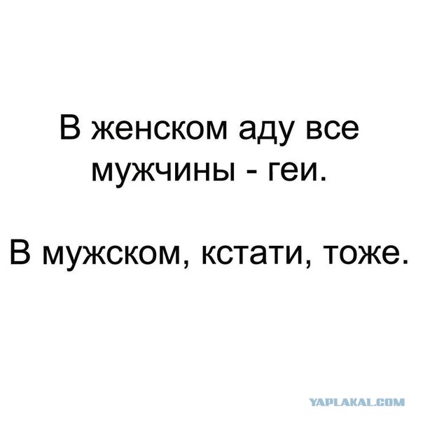 Весёлый полтишок 08.08.22
