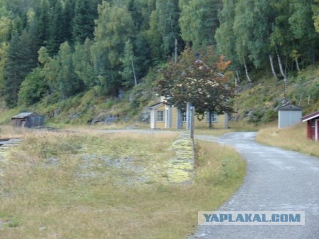 Деревня в которой я живу