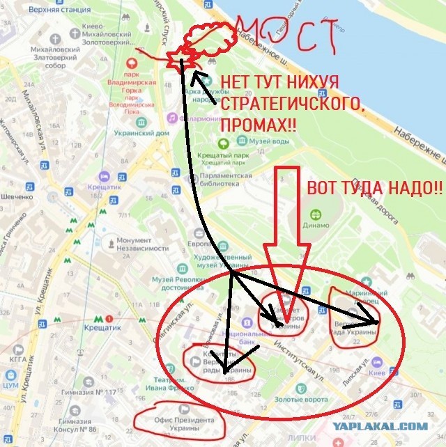 Пандемия съехавших крыш - разновидности болезни. Россия и мир. Часть 44.