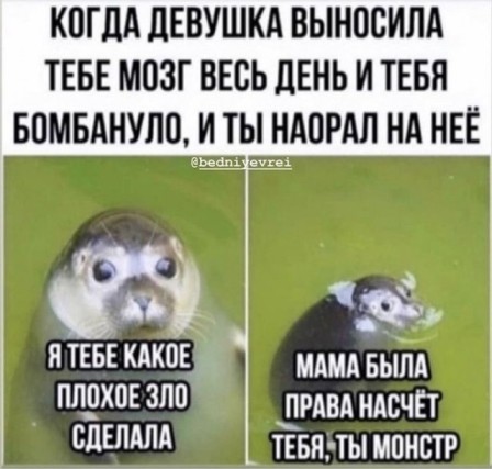 В Сочи мужчина ударом ноги сломал нос супруге во время ссоры в магазине