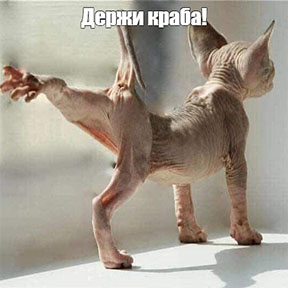 Крабовые палочки