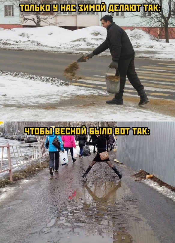 Весёлый полтишок 16.12.2022
