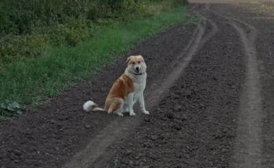 Мы пропустили