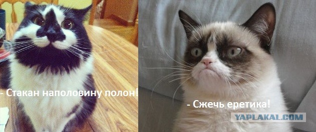 Улыбающийся кот - антагонист "Грустного кота"