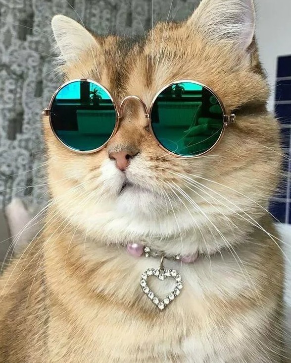 Пошли со мной, я рожать буду