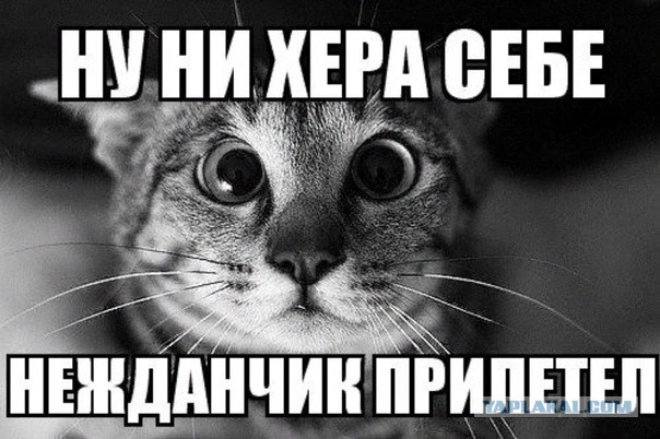 Суда, идущие в российские порты Черного моря будут рассматриваться как перевозящие военные грузы — Минобороны Украины