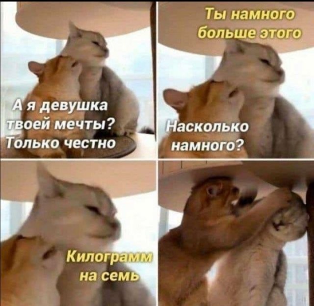 Так себе картинки 30.09.2023