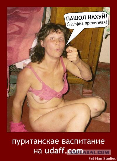 Солянка боянов из папки "Разобрать", от Удаффком до наших дней
