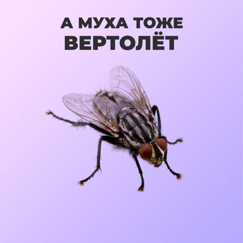 Самый маленький российский вертолет
