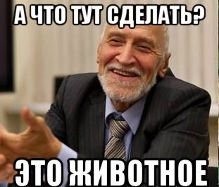 Школьники из Узбекистана потушили «Вечный огонь» в Санкт-Петербурге — они забросали его снегом.