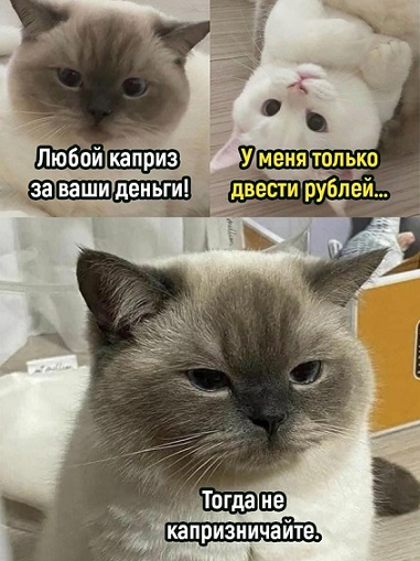 Когда заходишь на чай